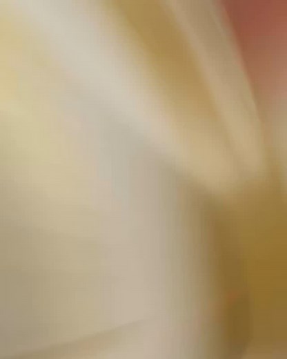 Full Kitchen remodel! Reinvented by Mike Nobrega CSLB #1121737 #kitchenremodel #kitchendesign #kitcheninspiration | Mike Nobrega