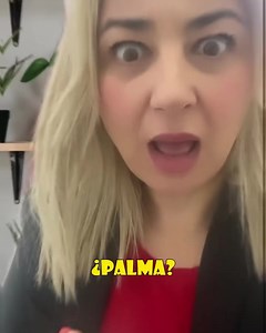 CORTA EL CABLE ROJO La comedia más explosiva 📍Sala Magna 📆viernes, 3 de mayo 2024 🕖21:00 🎟️ información y entradas en www.auditoriumpalma.com Corta el Cable Rojo es un espectáculo de comedia de improvisación. Su objetivo es hacer reír a mandíbula batiente con humor creado en el momento y basado en las sugerencias de los espectadores. En España existen varios grupos de improvisación y muchos cómicos de Stand Up. Lo que hace único este show es que los actores autores de Corta el Cable 