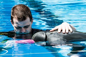 What is the mammalian diving reflex?