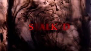 *BRAND NEW* This video is from THE HAUNTING OF SUNSHINE GIRL show. Described as Gilmore Girls meets Paranormal Activity, Sunshine is your typical teenage girl. Except she chases ghosts, not boys. Her adventures takes her far and wide as she searches for answers to the supernatural mysteries of the world. What started as a videos series is now a trilogy of young adult books and is in development for television. Enjoy the creepy goodness! | The Haunting of Sunshine Girl Network