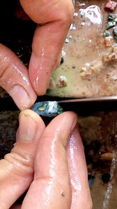 From a Rough Moss Agate Slab to a Finished Cabochon Teardrop cabochon formed through a calm lapidary process. ✨ #MossAgate #LapidaryArt #CabochonMaking #StoneCutting #HandmadeCabochon | Yazid Ikhsani