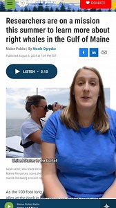 Researchers are on a mission this summer to learn more about right whales in the Gulf of Maine. Nicole Ogrysko reports. Read the full story at mainepublic.org. Photo Courtesy Of The New England Aquarium, Taken Under National Marine Fisheries Service Permit # 25739 Video Courtesy of Jeff Nichols, Maine Department of Marine Resources (DMR) #whale #rightwhale #whale #gulfofmaine #northatlantic #atlanticocean | Maine Public | Facebook
