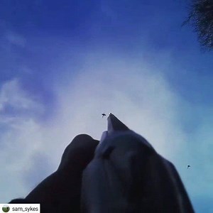 1.2K views · 42 reactions | #Repost @sam_sykes • • • • • A couple of high pheasants from Bury Hill, West Sussex. Shot 2 in this clip, both with the first barrel. I don’t think I’ve ever given birds this much lead...! AimCam . . . . #shooting #pheasantshooting #shootingvideo #buryhill #aimcam #highbird #gameshooting | AimCam | Facebook