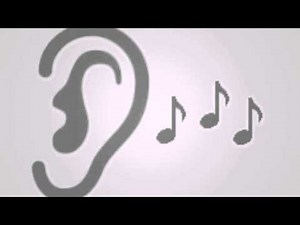 INSTRUMENTOS TRADICIONALES DE VENEZUELA