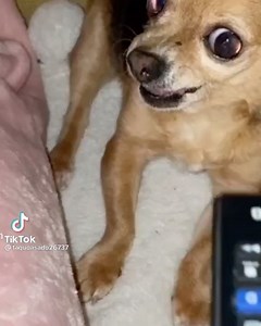 135K views · 1.4K reactions | Random stuff by random people on Reels | Facebook