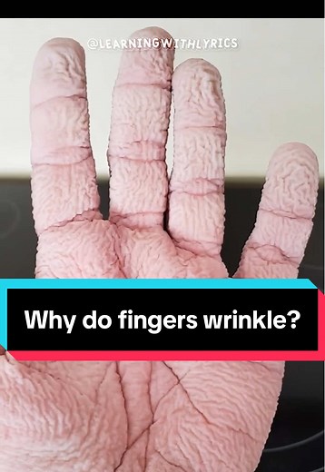Why Do Fingers Wrinkle in Water? Understanding Science