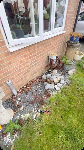 #uk #gay #creative #blonde #fashion #selfcare #summer #garden #project | Stanley Jaques