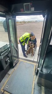 Bus driver goes above and beyond for disabled passenger | Spilled Milk Society