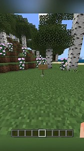 Cómo Poner Emojis en Minecraft Sin Mods❤️ | XTurbo | Facebook