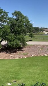 Another beautiful day at this magical place! Loving these clear skies after all of the rain! 🌞💛 | Kissing Tree