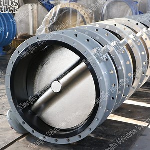 [Hot Item] Center Line Double Flanged Butterfly Valve with Nylon Coating Disc