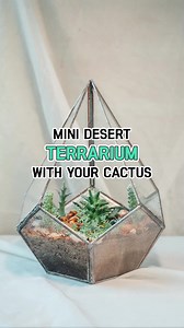 Terrariums offer more than a chick look for your home decor 😍 Have you ever tried a tiny terrarium with your cactus?! Let's DIY now 😉 #succulentsbox #succulents #cactus #cacti #houseplants #plants #succulenttips #succulentsmakepeoplehappy #terrarium #diy | Succulents Box