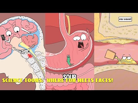 Mind-Blowing (and Funny!) Science Cartoons#animation #funny #video