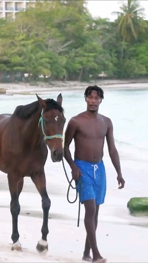 Top Five beaches to visit in @beautiful.barbados 📷 @barbadosbluemojito 🌴🐒🍹🌺🍲🌞⛱️🌊🐢🌴 #letsgobarbados #scenicbarbados #beautifulbarbados #barbaecation #bucketlistbarbados #wondersofbarbados #destinationbarbados #bluemojitobarbados | Beautiful Barbados