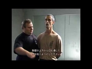 Strikes日本語版 紹介