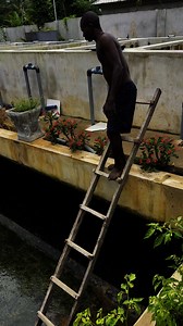 First Fish Academy Underground Fish Tank | First Fish Academy