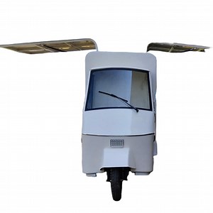 [Hot Item] Mobile Kitchen Food Trailer Ice Cream Truck Piaggio Electric Food Cart