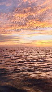 Adrian Noble on Reels