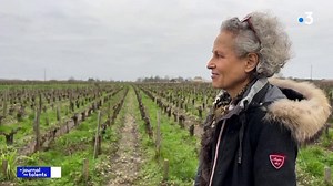 🍷 Elle a remporté le prix de Vigneronne de l'année 2024, décerné par la Revue du Vin de France. Rencontre à Margaux-Cantenac en Gironde, avec Claire Villars-Lurton qui produit de grands vins de Bordeaux, certifiés en bio et biodynamie. Château Ferrière France 3 Nouvelle-Aquitaine | France 3 Régions