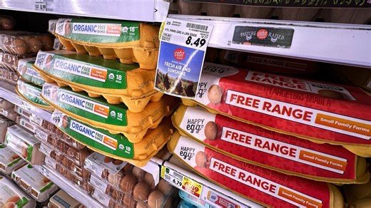 Cracking the egg code: What the organic, cage-free & farm fresh labels really mean
