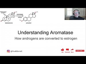 Aromatase Explained - How Test Converts to Estrogen - Anabolic Bodybuilding