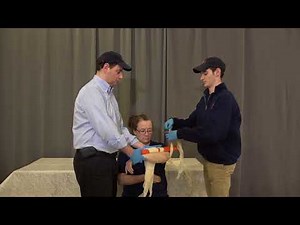 Joint Injury Immobilization