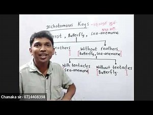 Grade 6 Science (English Medium ) with Chanaka sir