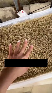 310K views · 2.7K reactions | Crabi pentru agricultura #wow #ferma #animale | Liberam | Facebook