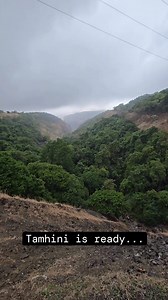 Tamhini is Ready, ARE YOU? . . . . Credits @neeraj_6151 #naturephotography #nature #photooftheday #photography #picoftheday #life #love #happy #family #instagram #instadaily #instalike #instagood #reels #reelsinstagram #trending #trendingreels #viral #viralreels #explore #explorepage #fyp #trendingsongs #like #follow #india #maharashtra #pune #tamhinighat #westernghats | Whats Hot Pune