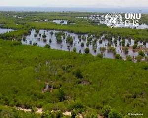 Looking into integrating nature-based solutions into National Adaptation Plans? 樂 Explore the 5⃣ key factors that can drive successful implementation and unlock the power of #nature in climate resilience: https://ehs.unu.edu/news/news/5-factors-on-implementing-nature-based-solutions-into-national-adaptation-plans.html | United Nations University - EHS | Facebook