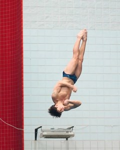 Florida Gators Swimming & Diving on Reels