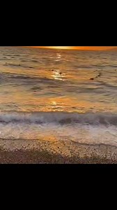 DOBRE VODE...👍❤️😂👍 | „Portal odmarajme“