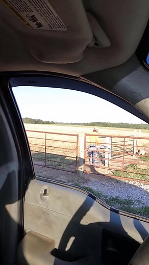 Scene from "Football" #goat #nanny #kid #livestock | Boys In The Woods