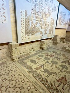 Mauricio Daboub on Reels