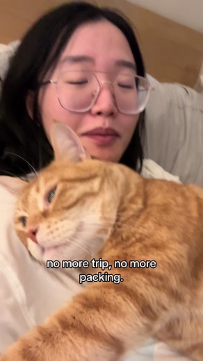 What My Cat Tells Me To Do