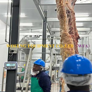 [Hot Item] Halal Slaughter Machine Cattle Cow Sheep Goat Slaughterhouse for Abattoir Equipment