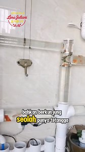 Aquarium pipa | Lena Juliani