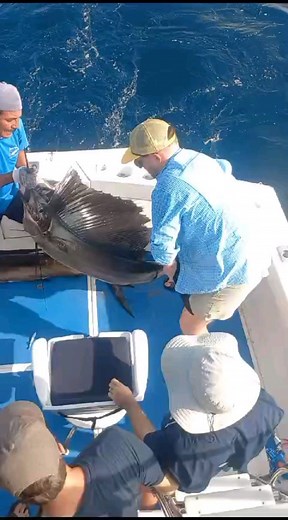 Puerto vallarta fishing charters. Hot action in Mexico https://www.travelvallarta.com | Puerto Vallarta fishing charters