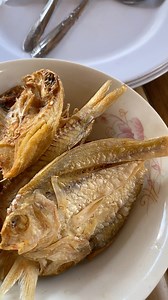 Daing na isda sa Bicol. Kanasi masarap na pang ulam | John Rud Lirag Saba