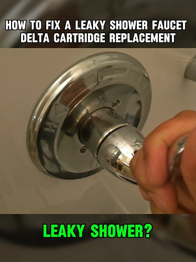 How to Fix a Leaky Shower Faucet with Delta Cartridge