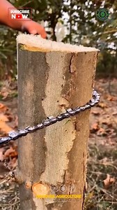 Introducing the innovative hand chain saw tool – a remarkable addition to your outdoor gear. Designed with a unique chai structure and sharp saw teeth, this portable and efficient tool is perfect for quick cutting tasks, be it camping, hiking, or backyard maintenance. Its lightweight design allows for easy handling, while the high-quality materials ensure durability and longevity in various conditions. Simply loop it around the branch you need to cut and pull the handles back and forth for swift