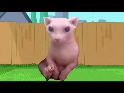 Very funny bingus meme