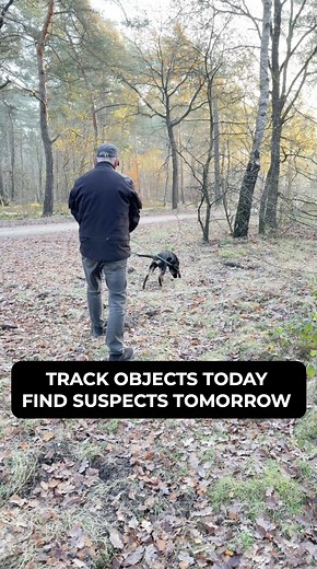 38K views · 543 reactions | Why I DON’T search for people when...