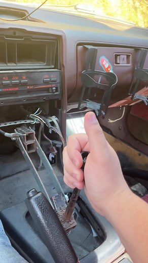 Brandon Shepherd on TikTok