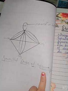 Chemistry Project File/ Class 12 /Board File /Topic- Amines