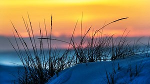 LBI towns close beaches to all but residents, property owners