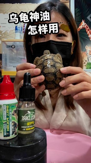 Keep tortoises shell clean and Shine 🤩 #shellcareoil #tortoise #tortoiselover #goodproduct Reptiles Planet & Pet Studio-Max Kong | Reptiles Planet & Pet Studio-Max Kong