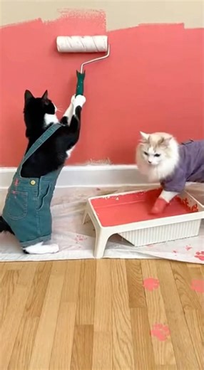Cat Fight Over Spilled Paint! 😹 | Funny Messy Moment