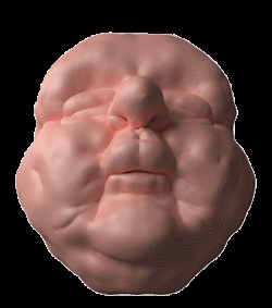 GIF Six-Pack: The Squishy Surrealism of Jelly Gummies