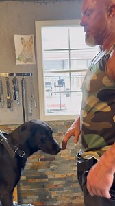 2.6K views · 27 reactions | FINGER FOOD FETCH An act of protest gets marked and utilized as the answer ‍了 #k9servicesunlimited #fetch #dogtraining #labrador | K-9 Services Unlimited LLC | Facebook